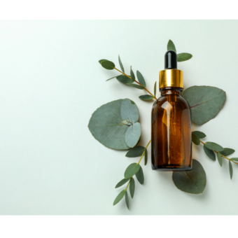 Olio essenziale di eucalipto: proprietà cosmetiche, controindicazioni e dove acquistarlo